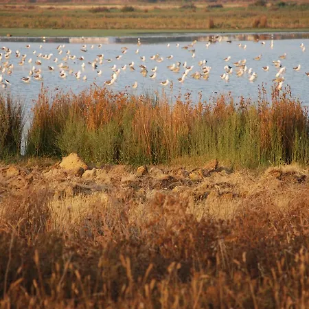 Dos Salgados - Lagoas Διαμέρισμα