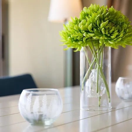 Dos Salgados - Lagoas * 阿尔布费拉