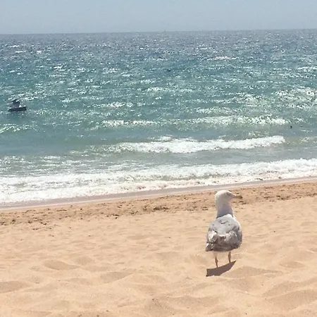 Dos Salgados - Lagoas Apartamento *